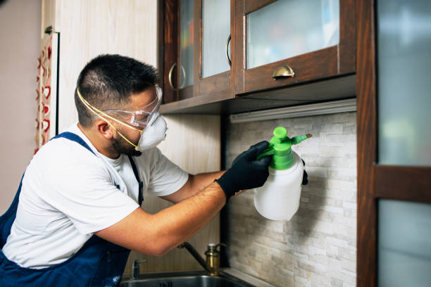Best Emergency Pest Control  in Jasmine Estates, FL