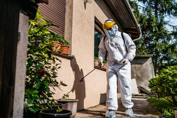 Best Best Pest Control Companies  in Jasmine Estates, FL