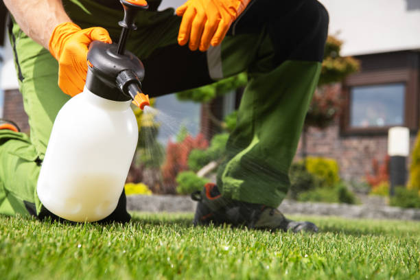 Professional Pest Control in Jasmine Estates, FL