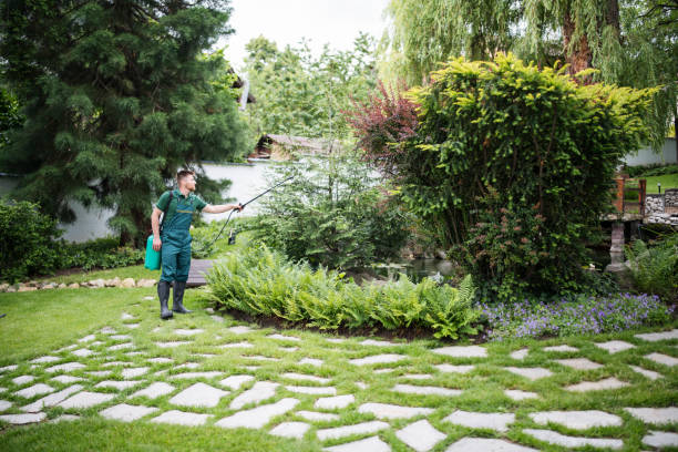 Best Insect Control  in Jasmine Estates, FL