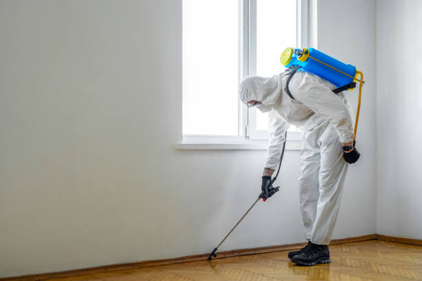 Best Termite Control Services  in Jasmine Estates, FL
