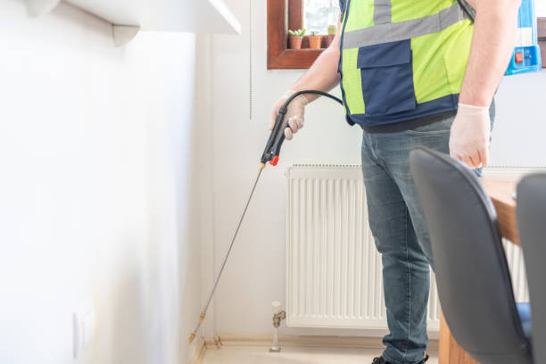 Pest Prevention Services in Jasmine Estates, FL