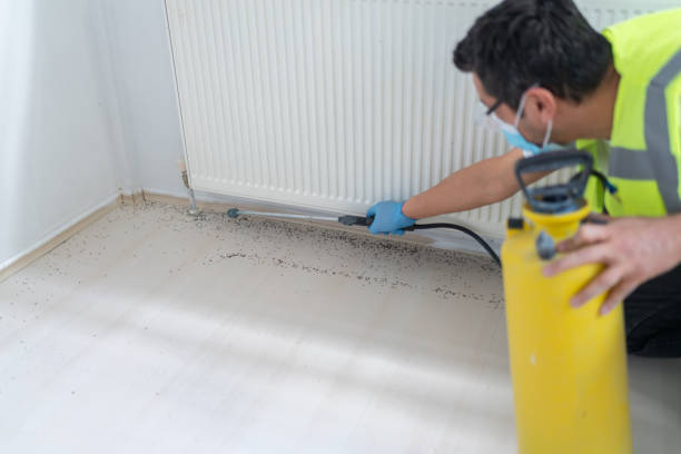 Best Pest Removal Services  in Jasmine Estates, FL